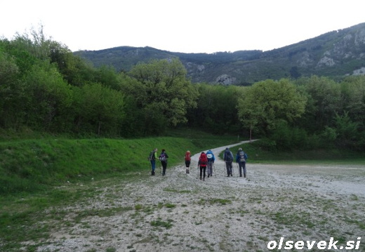 Kopitnik (13.04.2024)