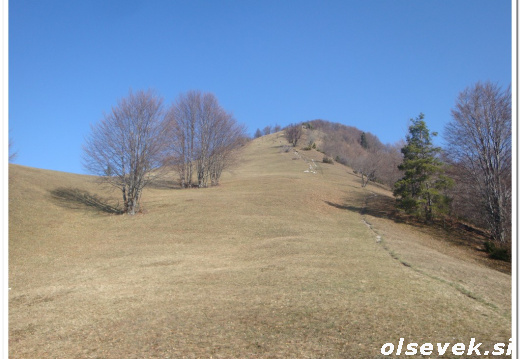Blegoš za Olsevek si