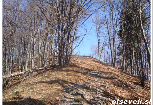 Blegoš za Olsevek si