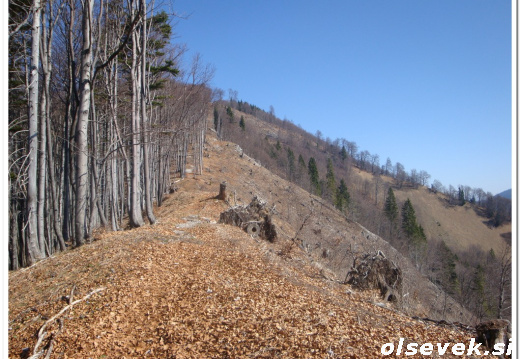 Blegoš za Olsevek si
