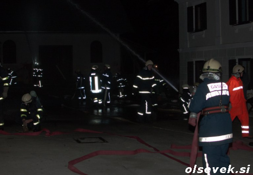 NocnaVajaOlsevek2012_08.jpg