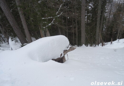 Mojčin dom na Vitrancu (22.2.2026)