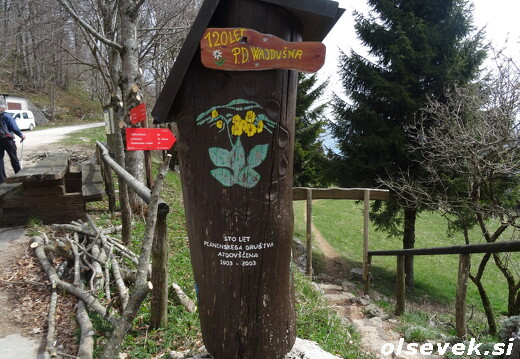 Modrasovec (12.4.2026)
