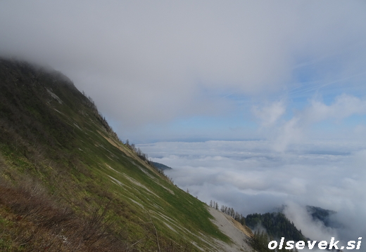 Golica (10.05.2026)