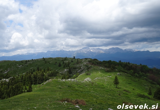 DSC00659