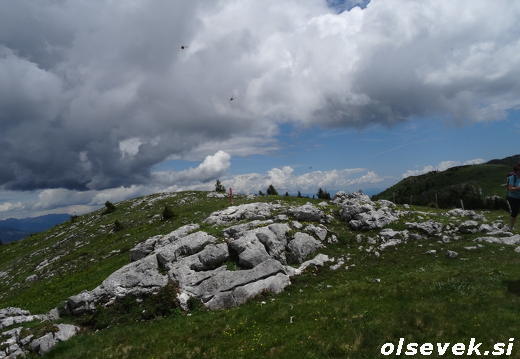 DSC00661